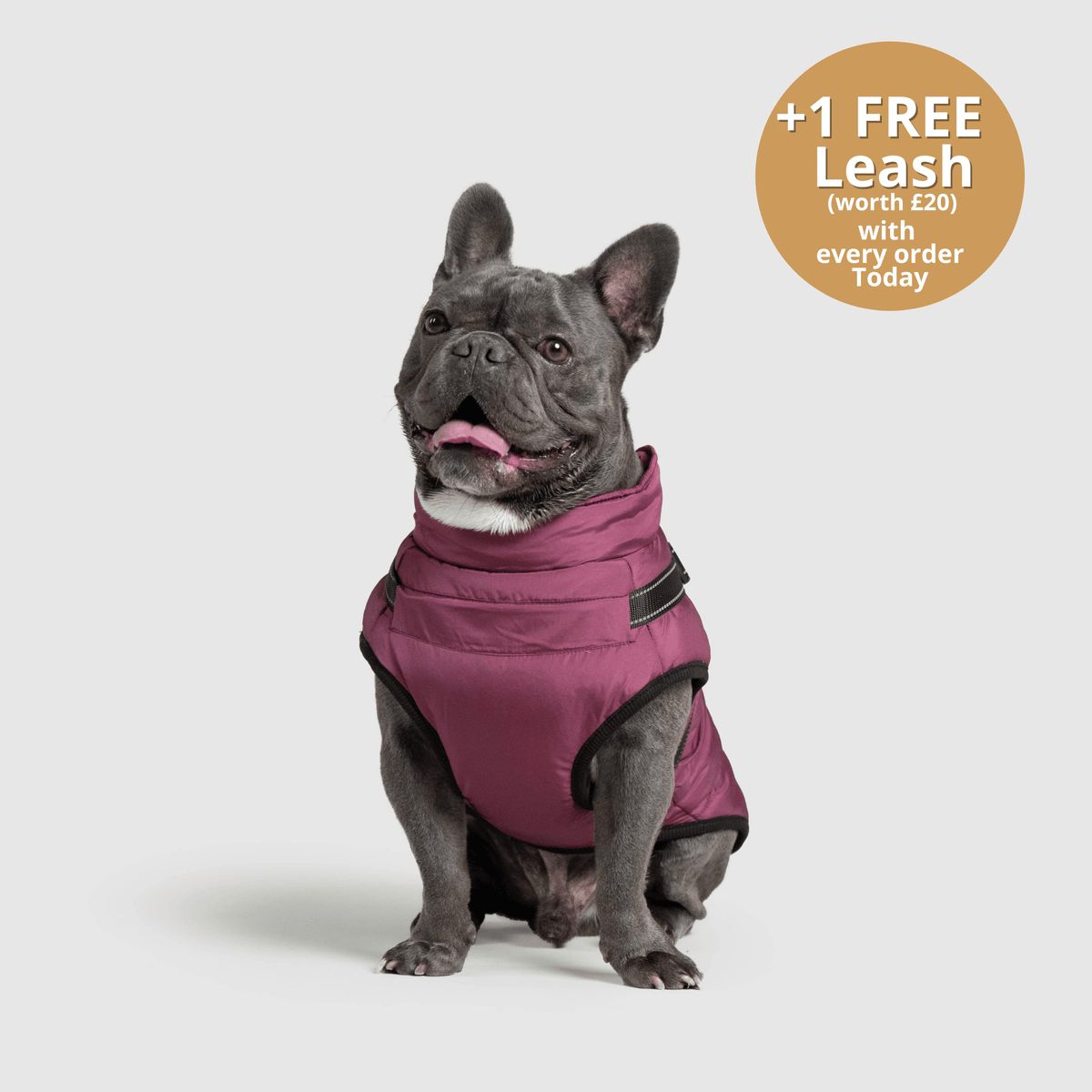 DoggyKings™ 3 in 1 Jacket