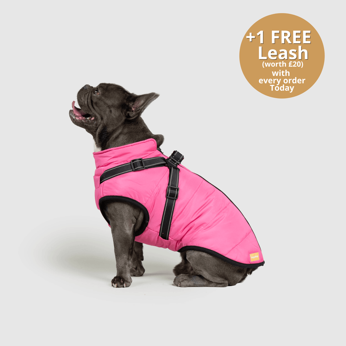 DoggyKings™ 3 in 1 Jacket
