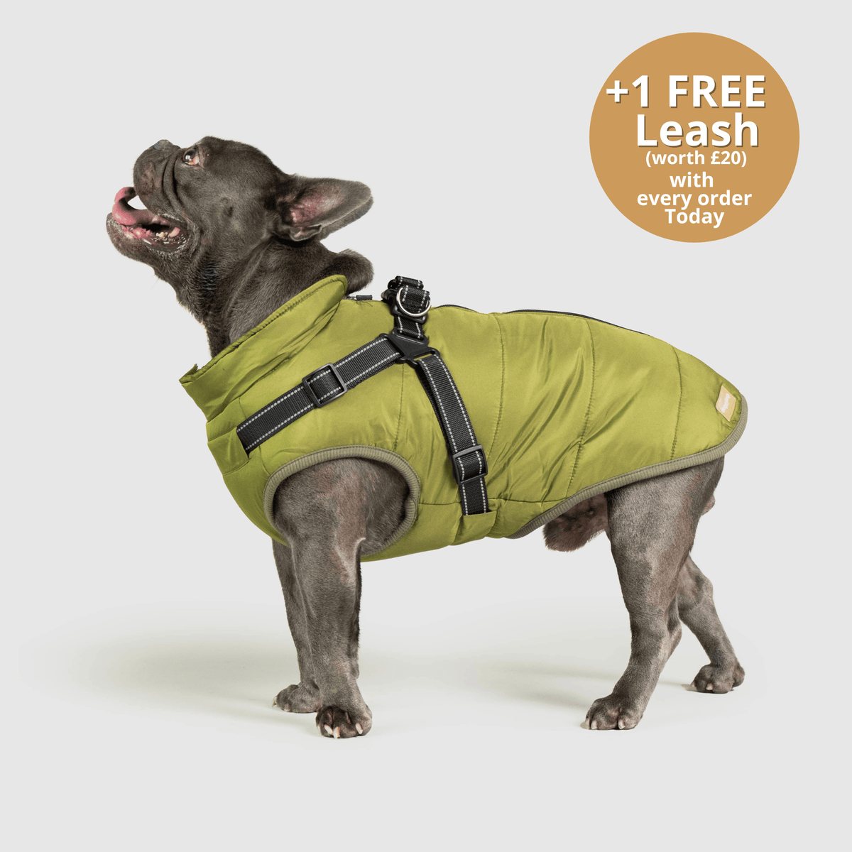 DoggyKings™ 3 in 1 Jacket
