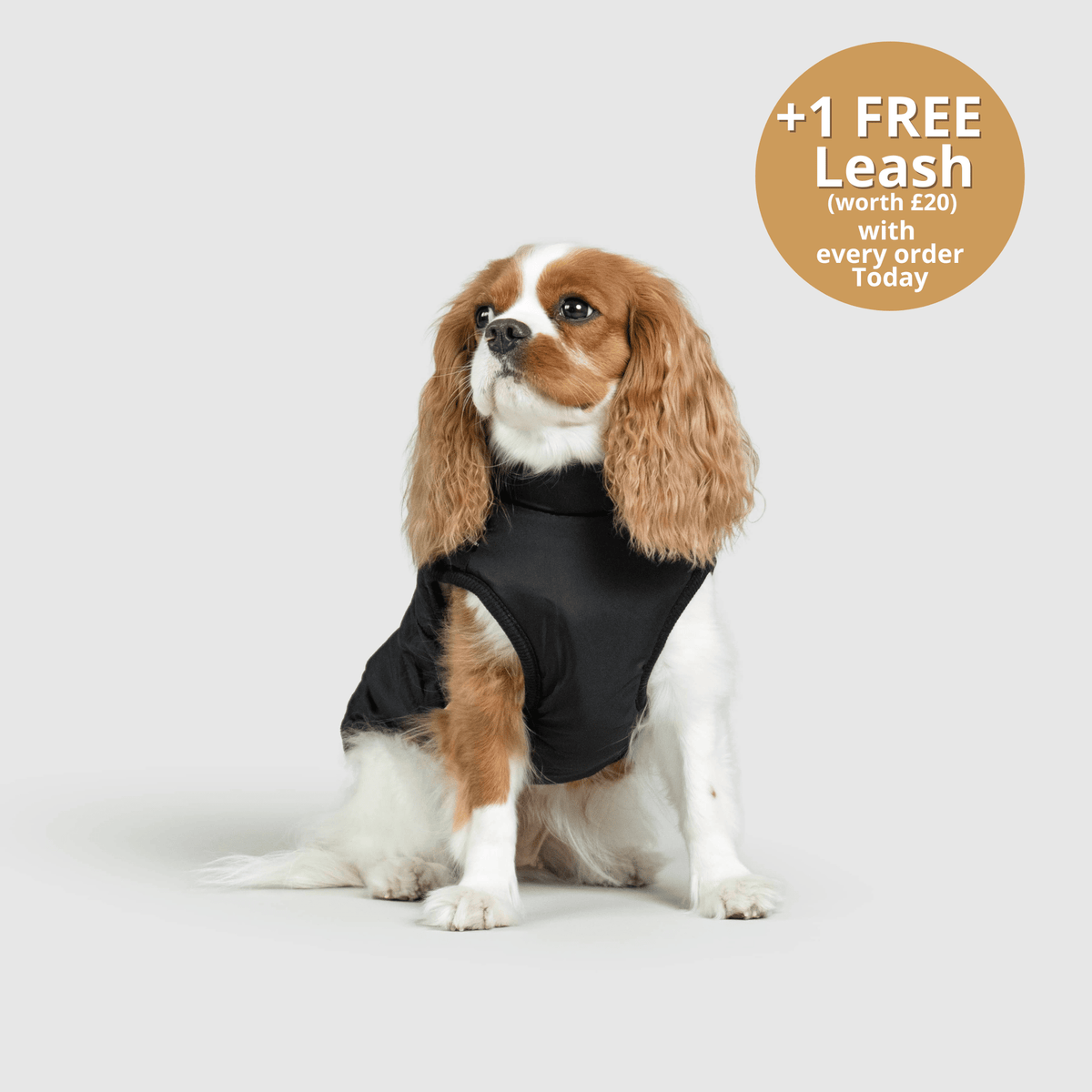 DoggyKings™ 3 in 1 Jacket