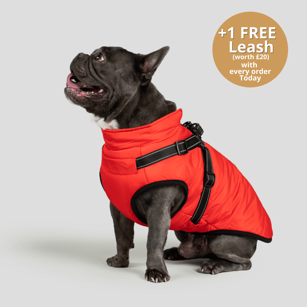 DoggyKings™ 3 in 1 Jacket